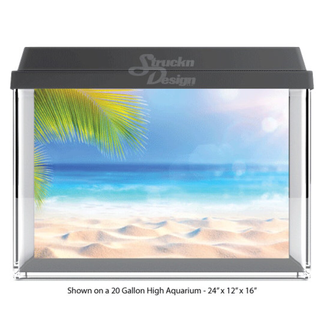 Beautiful view of Beach Glass Aquarium Ornaments