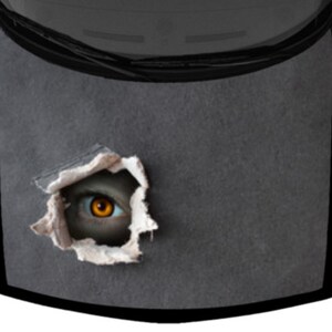 Eye Peeking Through Ripped Hole Creepy Abstract Car Pickup SUV Truck Hood Wrap Vinyl Graphic Decal 58in x 65in US Made Cast Laminated Option