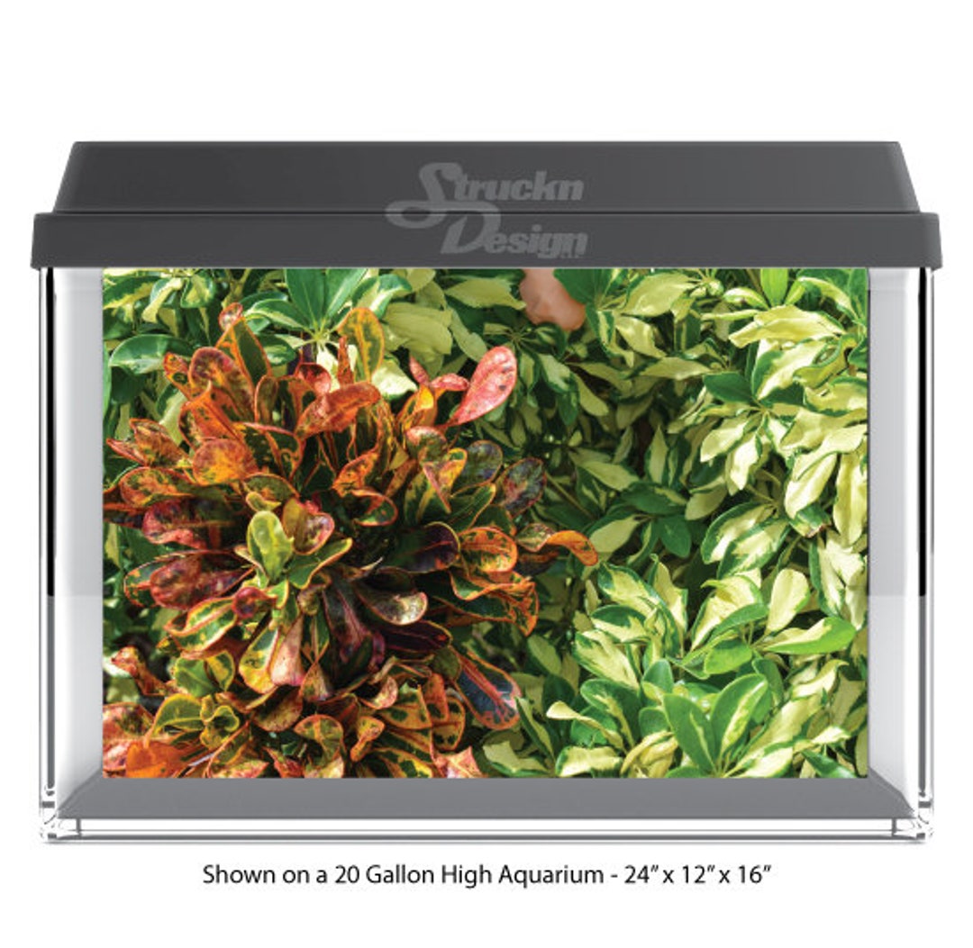 Croton Tank Bright Tropical Plants Red Croton Green 10mil Polyester Aquarium Tank ...
