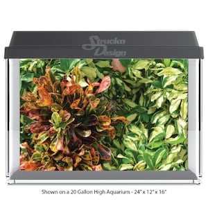 Bright Tropical Plants Red Croton Green 10mil Polyester Aquarium Tank Glass Backdrop Background Waterproof Grey Opaque Backer