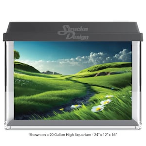 May include: A green grassy field with a stream running through it. The background is a blue sky with white clouds. This image is shown on a 20 gallon high aquarium, measuring 24 inches by 12 inches by 16 inches.