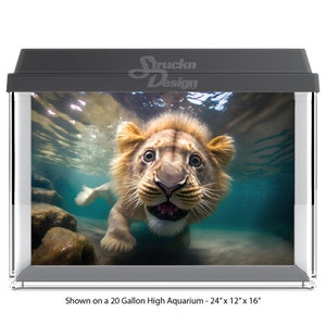 Cute Lion Swimming Underwater Rocky Lake Floor 10mil Polyester Fish Tank Glass Backdrop Aquarium Background Waterproof Grey Opaque Backer