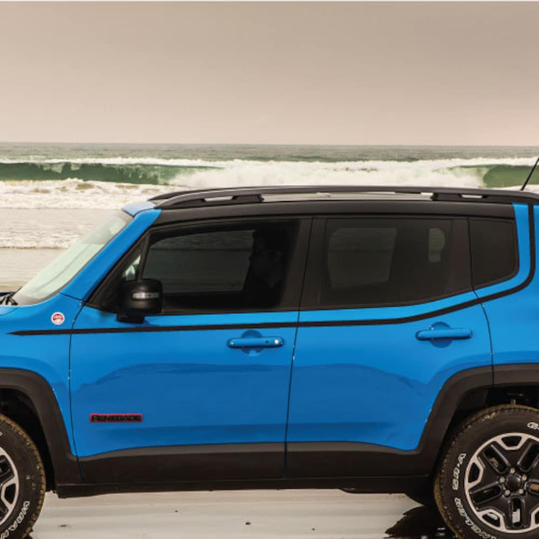 Fits Renegade Pinstripe Stripe Pillar 4x4 Classic Bed Side Vintage