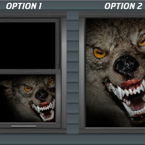 May include: Two Halloween window clings featuring a snarling wolf face. The first option shows the wolf peeking through a window, while the second option shows the wolf's face filling the entire window.