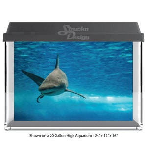 Fierce Shark Underwater Swimming Ocean Water 10mil Polyester Tank Glass Backdrop Aquarium Background Waterproof Grey Opaque Backer