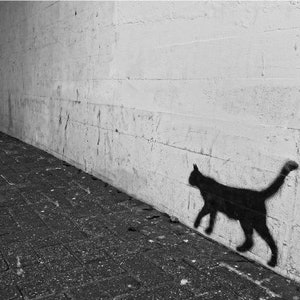 Black Cat Shadow on Wall Cat Poster Print Paper OR Wall Vinyl