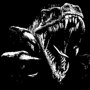 3 - Raptor Velociraptor Dinosaur Rear Window SUV Bed Hood Design Door Graphic Vinyl Decal Truck Car Pickup Sticker Tailgate