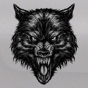 May include: A black and white illustration of a wolf's head with a snarling expression. The wolf's teeth are bared and its tongue is sticking out.