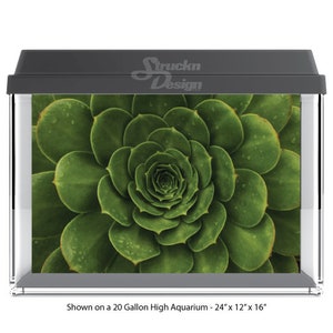 Natural Green Succulent Plant 10mil Polyester Aquarium Tank Glass Backdrop Background Waterproof Grey Opaque Backer
