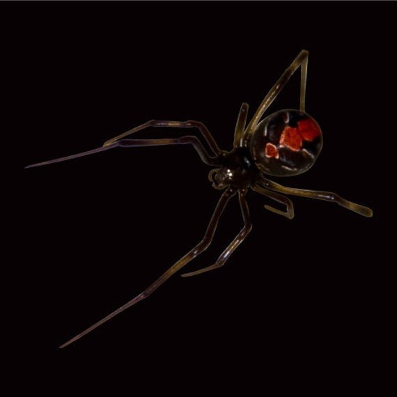 3D Spider Black Widow Realistic Small Size For Tank - 11in X 7in - Foto 4