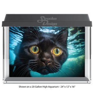 Black Aquarium Background Best Price in Bangladesh - Buy Online