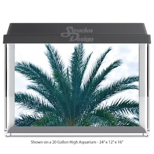 Large Green Palm Tree Leaves Cloudy Sky 10mil Polyester Aquarium Tank Glass Backdrop Background Waterproof Grey Opaque Backer