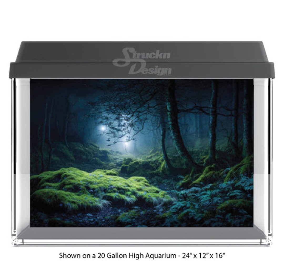 Dark Foggy Forest Woods Sun Rays Mossy Trees 10mil Polyester Fish Tank