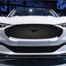 see more listings in the Ford Mach E Grille Wrap section