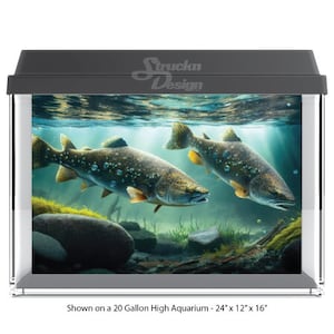 Underwater Two Fish Light Refractions Rocks Mossy 10mil Polyester Aquarium Tank Glass Backdrop Background Waterproof Grey Opaque Backer