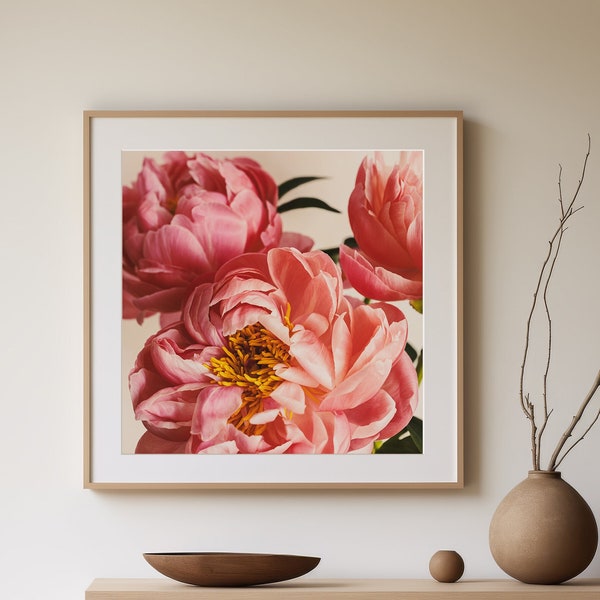 Large Flower Print, Peonies Botanical Wall Art, Contemporary Floral Photograph, 40x40 Oversized Wall Art, Feminine Flower Decor