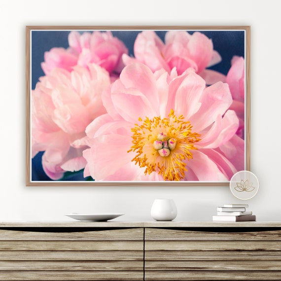 Large Peonies Print Bedroom Decor Pink And Navy Wall Art Peony Photography Printable Art Nursery Art Photography Prints Poster Print