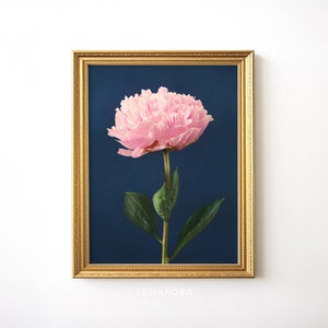 Peony Print, Pink Navy Wall Art, Flower Print, Botanical Print, Fine Art Photography, Digital Download, Bedroom Decor, Affiche Botanique