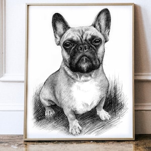 Pet Portrait Custom Charcoal , Pet Loss Gift , dog portrait charcoal , pet illustration , custom pet memorial , drawing from photo