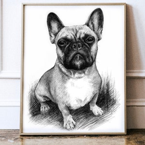 French bulldog, Pet portrait from photo, Dog portrait custom painting, Hand Drawn charcoal drawing, pet portrait hand painted, Dog memorial
