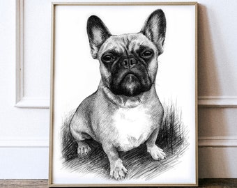 Pet Portrait Custom Charcoal , Pet Loss Gift , dog portrait charcoal , pet illustration , custom pet memorial , drawing from photo