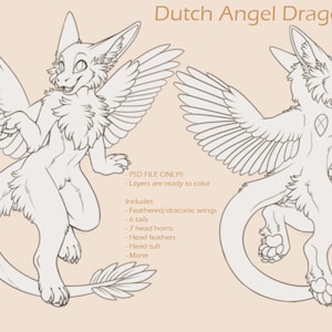 Dutchie Base - PSD file only