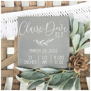 Birth Stat Sign | Birth Announcement Sign | Baby Birth Stats Sign | Nursery Decor | Baby Announcement Sign | Newborn Gift  TRN09