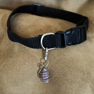 May include: A black nylon pet collar with a silver clasp and a dangling charm. The charm is a silver cage with a purple stone inside.