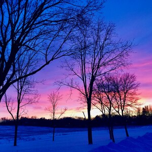 3pack Cartes de vœux Purple winter sky