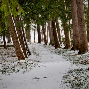 3 paquetes de tarjetas de Navidad Escena de invierno