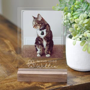 Marco conmemorativo personalizado para mascotas, placa conmemorativa para gatos, regalo con foto personalizado