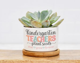 Cute Succulent Pot, Kindergarten Teacher Christmas Gift, Teacher Desk Decor