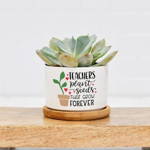 May include: White ceramic planter with a succulent plant and the text "Teachers plant seeds that grow forever" with red hearts.