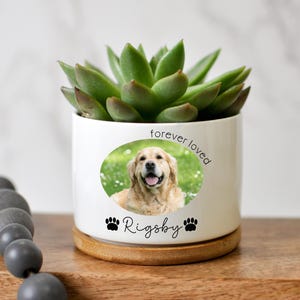 May include: White ceramic planter with a photo of a Golden Retriever, the text "forever loved", and the dog's name "Rigsby". The planter holds a green succulent and sits on a wooden saucer.