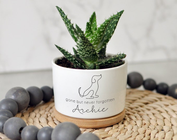 Planters + Stakes