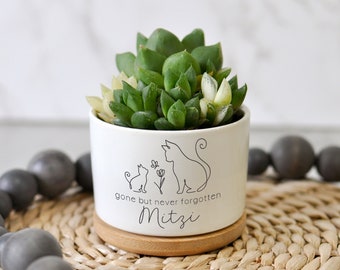 Cat Succulent Planter, Pet Remembrance, Cat Sympathy Gift