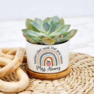 May include: White ceramic succulent planter with a rainbow and the text "Teachers plant seeds that grow forever Miss Alvarez".