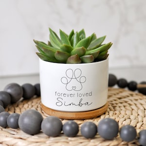 May include: A white ceramic planter with a succulent plant, resting on a bamboo coaster. The planter features a paw print design and the text "forever loved Simba". A gray beaded garland surrounds the planter.