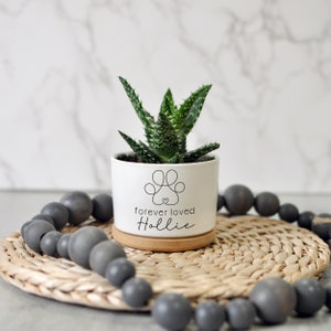 May include: A small, white ceramic planter with a green succulent. The planter features a paw print design with the words "forever loved Hollie". It sits on a wooden coaster and a woven mat, with a strand of gray beads in the foreground.