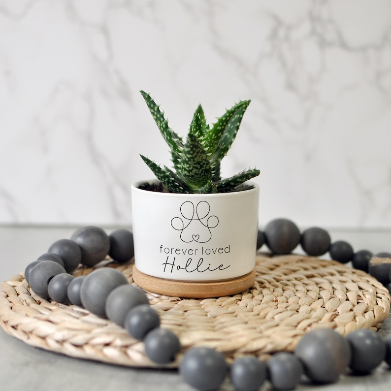 May include: A small, white ceramic planter with a green succulent. The planter features a paw print design with the words "forever loved Hollie". It sits on a wooden coaster and a woven mat, with a strand of gray beads in the foreground.