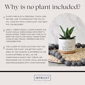 May include: A white ceramic planter with a paw print design and the words "forever loved Hollie" on a wooden coaster. The planter holds a small aloe plant. The image also includes a strand of gray beads and text that explains why a plant is not included.