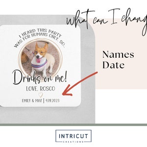 May include: A white coaster with a brown dog photo and the text "I heard this party was for humans only, so... Drinks on me! Love. Roscoe Emily & Max | 4.19.2023"