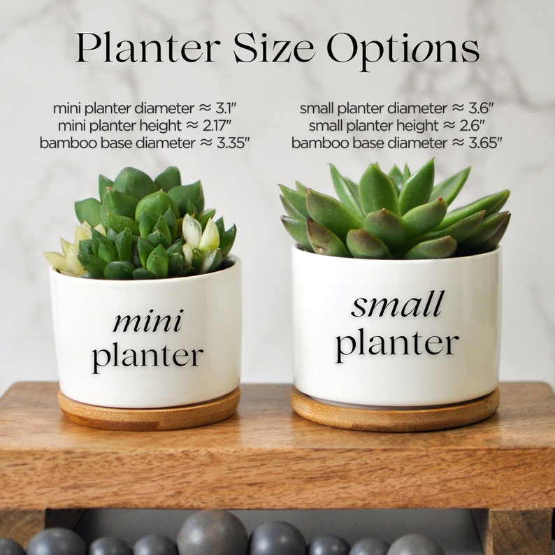 May include: Two white ceramic planters with succulents, labeled "mini planter" and "small planter." The mini planter is approximately 3.1 inches in diameter and 2.17 inches high, while the small planter is about 3.6 inches in diameter and 2.6 inches high. Both sit on bamboo bases.