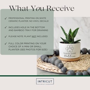 May include: White ceramic planter with a bamboo tray, featuring a paw print design and the text "forever loved Hollie." The planter holds a small succulent plant. The image also includes text that says "What You Receive."