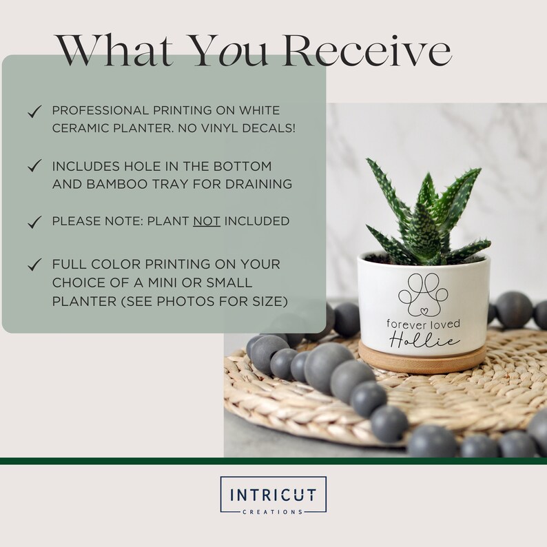 May include: White ceramic planter with a bamboo tray, featuring a paw print design and the text "forever loved Hollie." The planter holds a small succulent plant. The image also includes text that says "What You Receive."