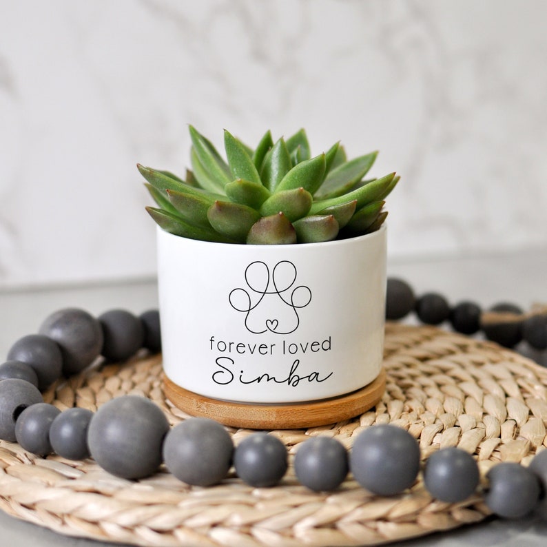 May include: A white ceramic planter with a succulent plant, resting on a bamboo coaster. The planter features a paw print design and the text "forever loved Simba". A gray beaded garland surrounds the planter.