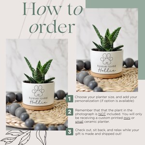 May include: White ceramic planter with a paw print design and the text "forever loved Hollie". The planter sits on a wooden saucer and contains a small succulent plant. The image also includes text that says "How to order".