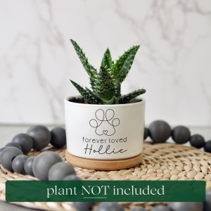 May include: A white ceramic planter with a paw print design and the words "forever loved Hollie." The planter holds a green succulent plant and sits on a wooden saucer. A green banner at the bottom reads "plant NOT included."