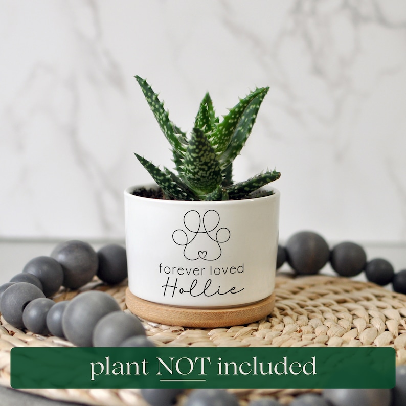May include: A white ceramic planter with a paw print design and the words "forever loved Hollie." The planter holds a green succulent plant and sits on a wooden saucer. A green banner at the bottom reads "plant NOT included."