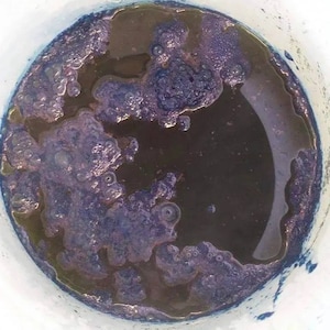 May include: A close-up view of a white bucket filled with a dark blue liquid. The liquid has a thick, viscous consistency and is covered in a layer of foam.